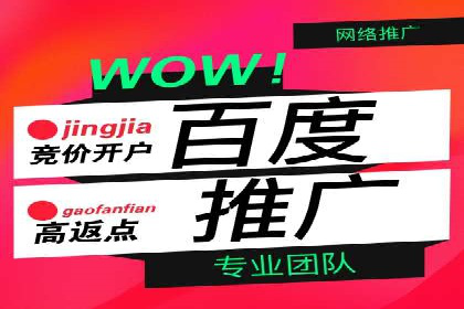 专业SEM托管：企业广告投放的明智之选